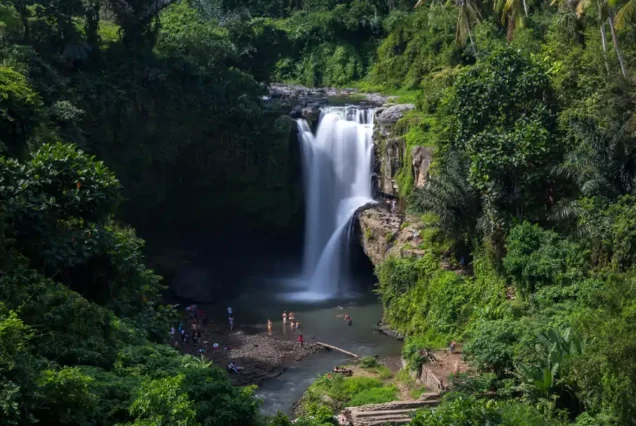Waterfall Hunter